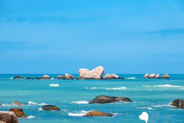 2020年已经过半，你的flag完成了多少？