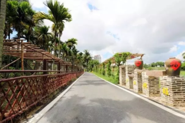 速看！海南这些乡镇（县城）获国家卫生乡镇（县城）称号