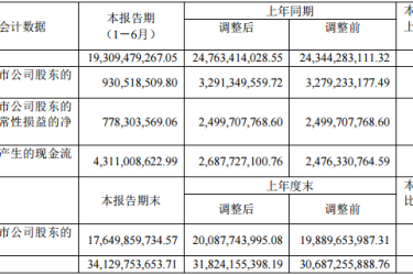 中国中免上半年净利降七成 离岛免税业务逆势增长