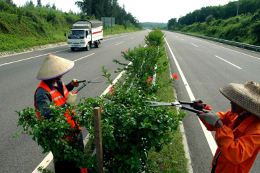 获批！海南环岛旅游公路项目总长997公里，投资约167亿元！
