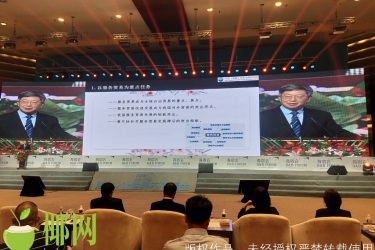 2020第三届海宿会在博鳌开幕 专家学者共话海南城乡融合发展