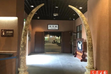 中国最南端的自然博物馆：三亚自然博物馆