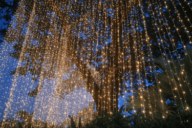 刷屏啦！三亚这个活动称霸朋友圈C位出道，本周六将正式启动！