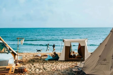 被综艺盯上了！露营热背后三亚旅文集团深耕产业升级！