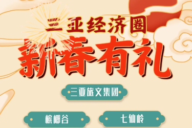 龙腾三亚 温暖中国年 | 三亚经济圈新春有礼