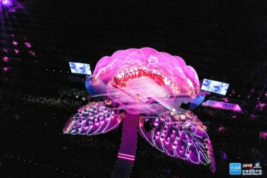 2024三亚玫瑰文化节将于4月9日至13日举办