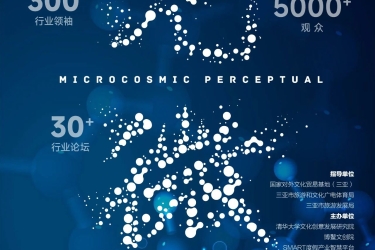 从国潮到多巴胺经济：海南国际文创周解码文旅创新与城市升级路径