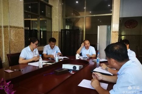 天涯海角公司天岭党支部开展“党史学习教育”动员会